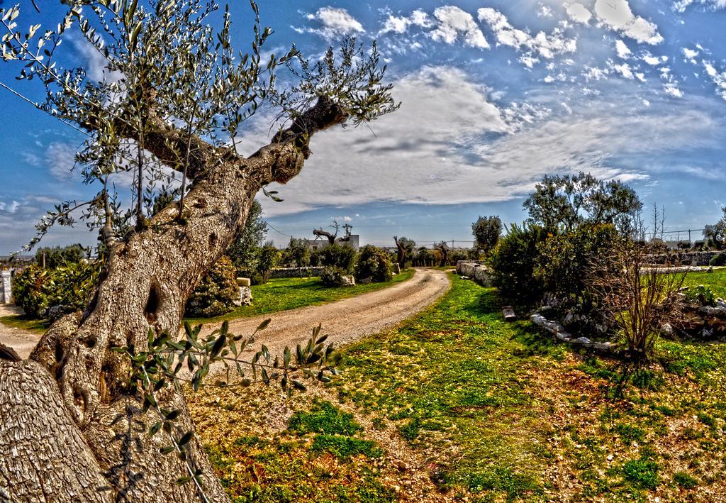 Masseria Rosa Trulli Relais Alberobello Zewnętrze zdjęcie