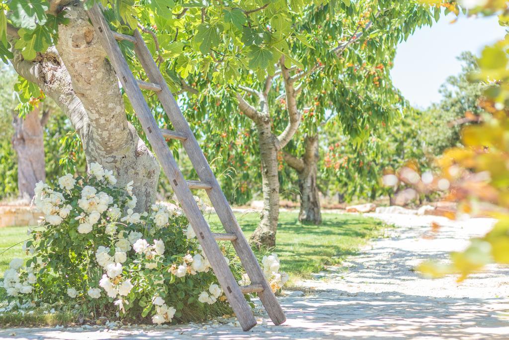 Masseria Rosa Trulli Relais Alberobello Zewnętrze zdjęcie